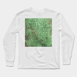 Spruce or fir needles Long Sleeve T-Shirt